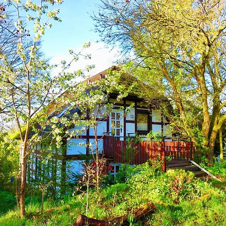 Natururlaub Frankenau Exterior foto