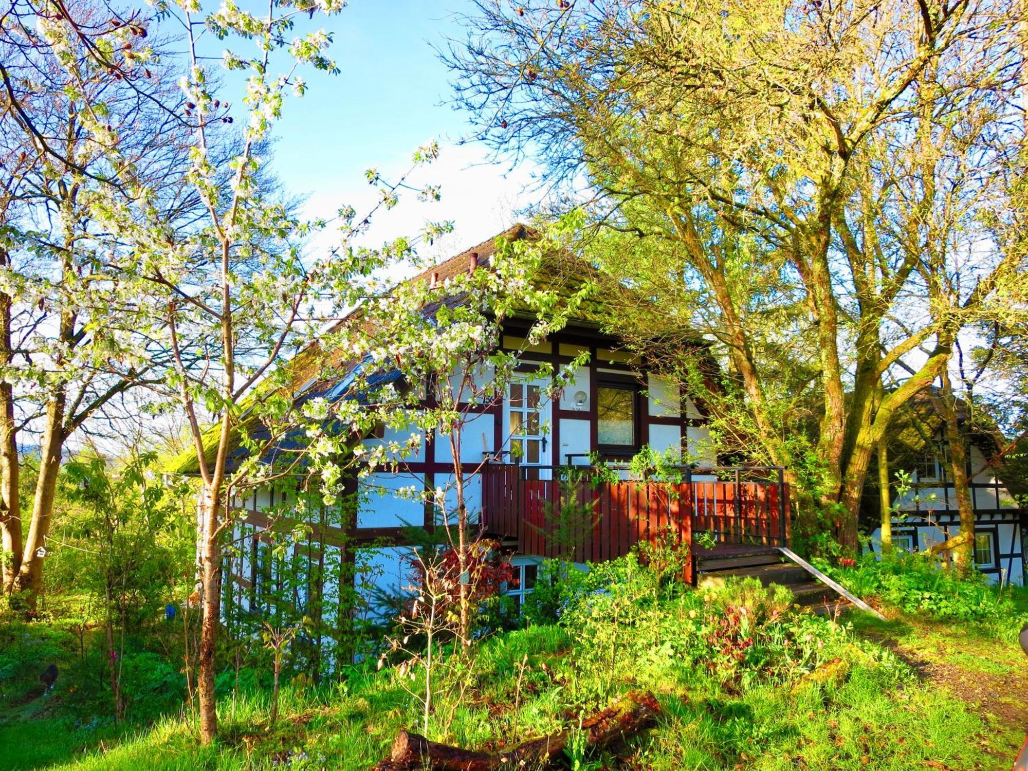 Natururlaub Frankenau Exterior foto