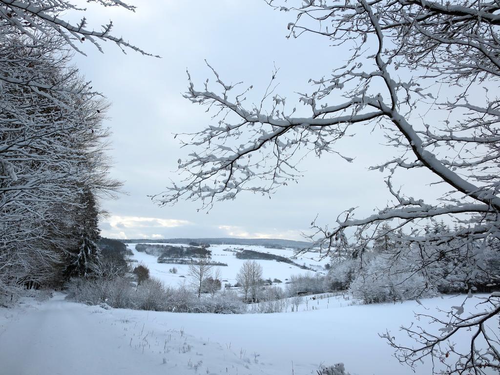 Natururlaub Frankenau Exterior foto